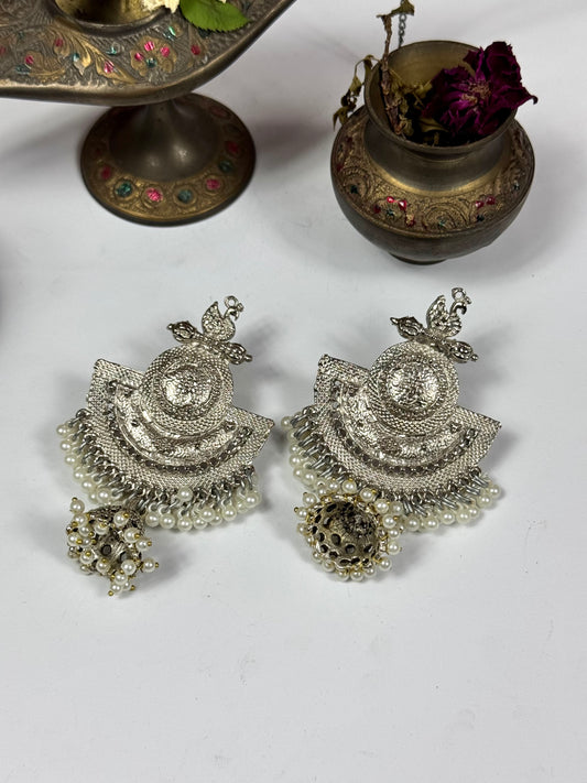 Tribal Dastaan jhumkies