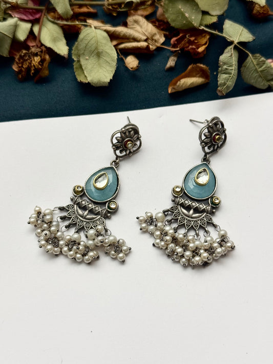 Premium oxidised Gulnaz Earrings